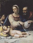 Sebastiano del Piombo The Madonna with the veil china oil painting artist
